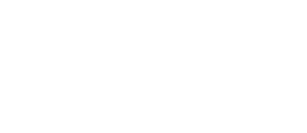 CICON